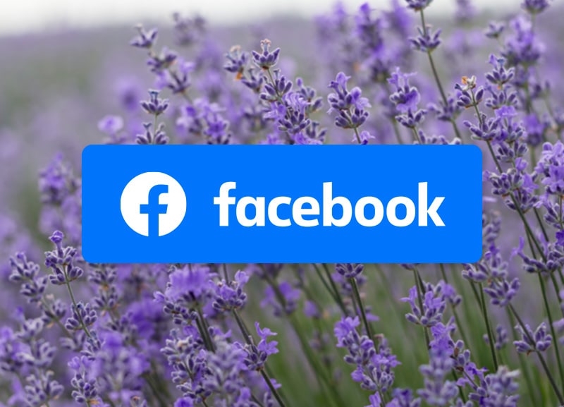Formation Facebook à Montélimar