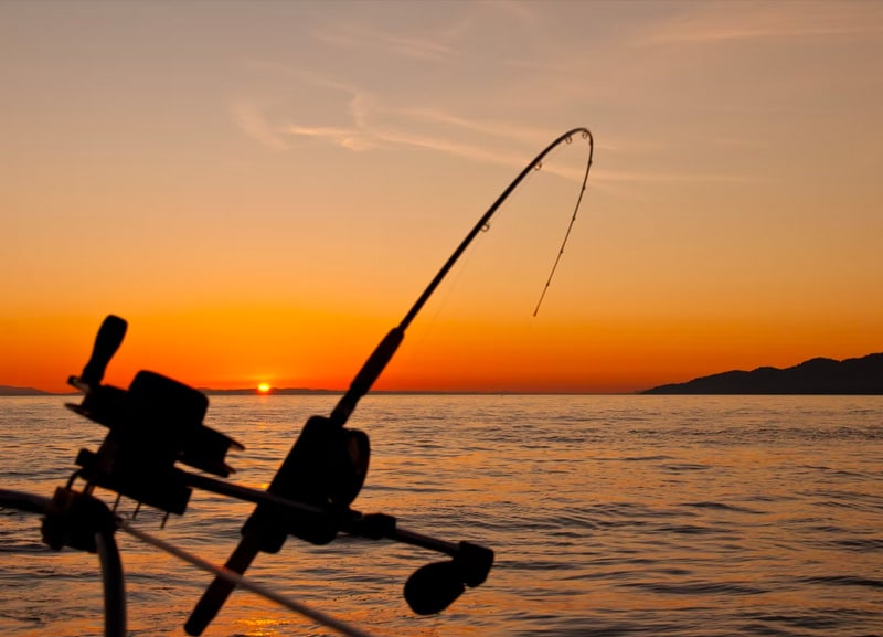 Fishing email